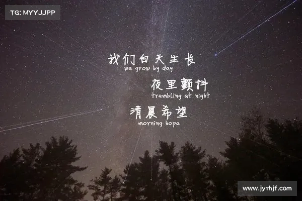 张扬虽年轻有实力为何依然选择低调行事揭秘背后的深层原因 张扬虽年轻有实力为何依然选择低调行事揭秘背后的深层原因